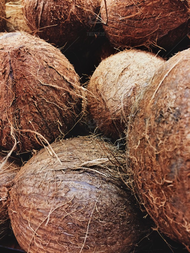 dubai-coconut-suppliers